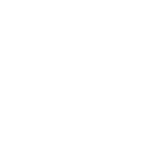 logo aie